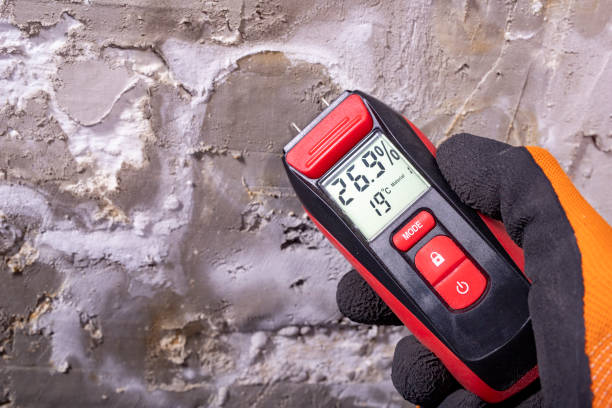Attic Mold Removal in Norwood, PA