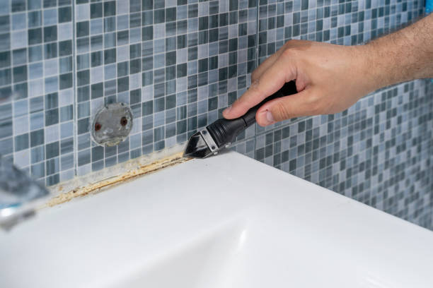 Best Emergency Mold Removal  in Norwood, PA